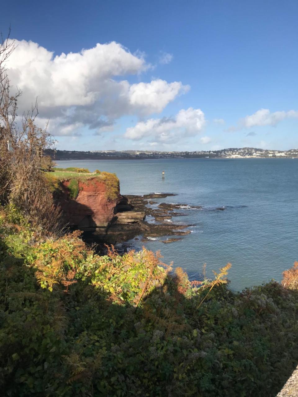 Elmdene Hotel Torquay Eksteriør billede